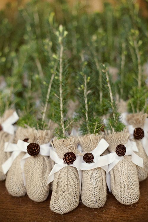 tree seedlings winter wedding favor