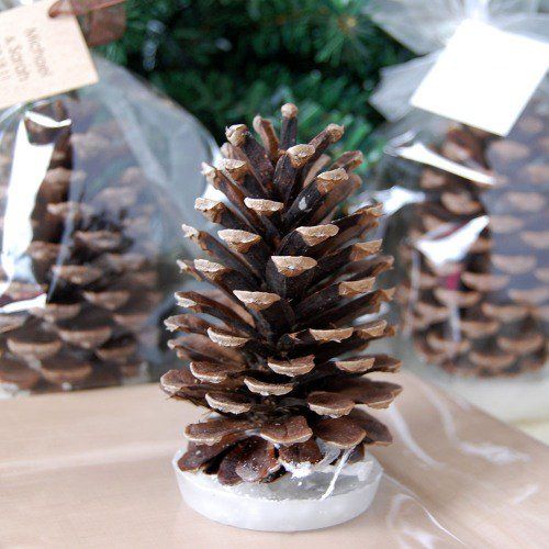 pinecone fire starter winter wedding favor 