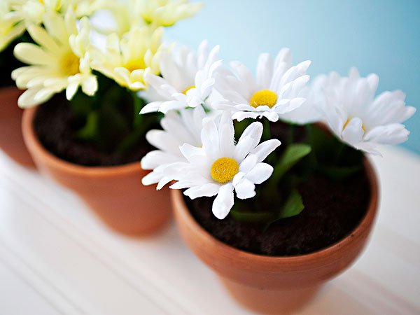 flower birthday party, flower themed birthday party, garden party, garden birthday party, edible dirt, edible soil 